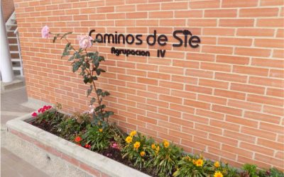 Convocatoria Asamblea 2019