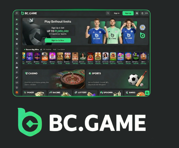Exploring BC.Game Mirror The Ultimate Gaming Experience